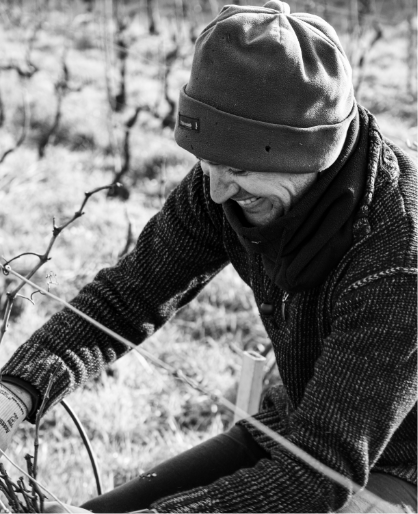 Cyril jonot vigneron indépendant champagne