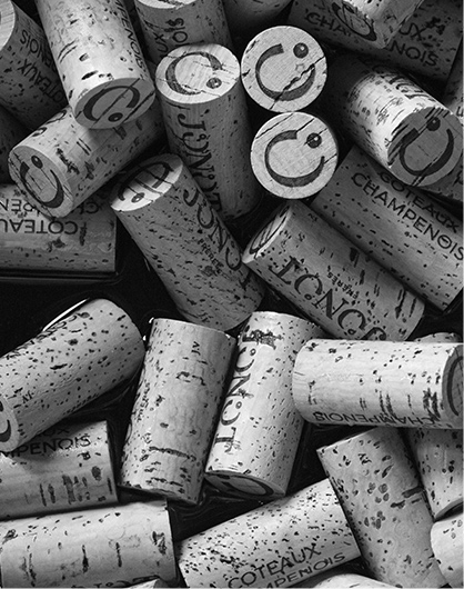 bouchon coteaux champenois