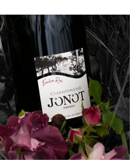 emulsion rosé champagne Jonot frères
